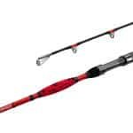 Delphin DANGER CatFISH 1