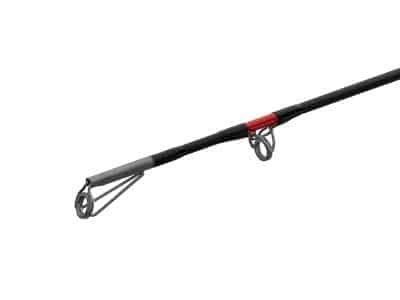 Delphin DANGER CatFISH 5